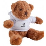 Hoody Teddy Bear